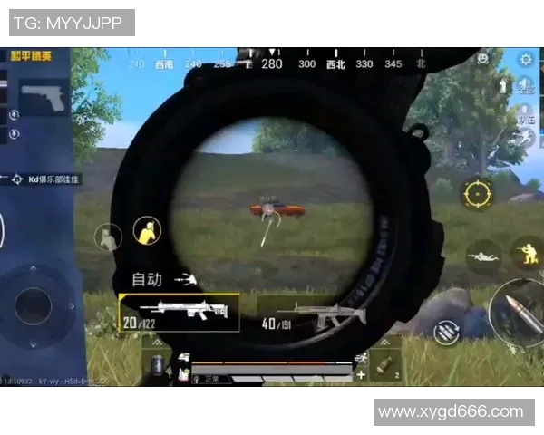 和平精英巨献：深入解析BLG团队的技术创新与游戏策略