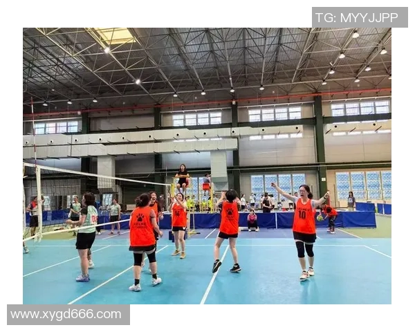 北京排球队的阵地战揭秘：深度解析排球战术与团队配合技巧