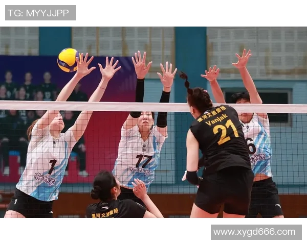 重庆排球队的力量与激情：聚焦排球运动的崛起与发展