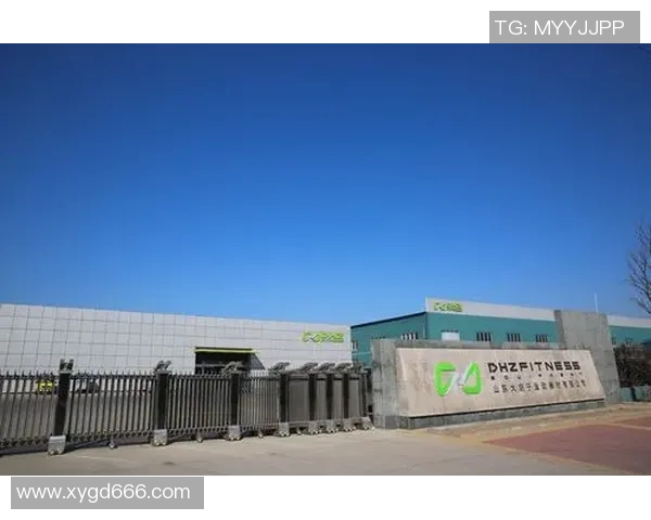 辉煌健身器材公司背景与产品评价总结